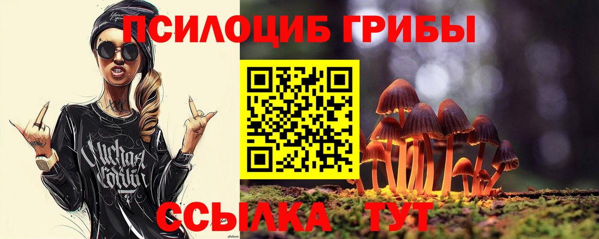 Псилоцибиновые грибы Psilocybine cubensis Россошь