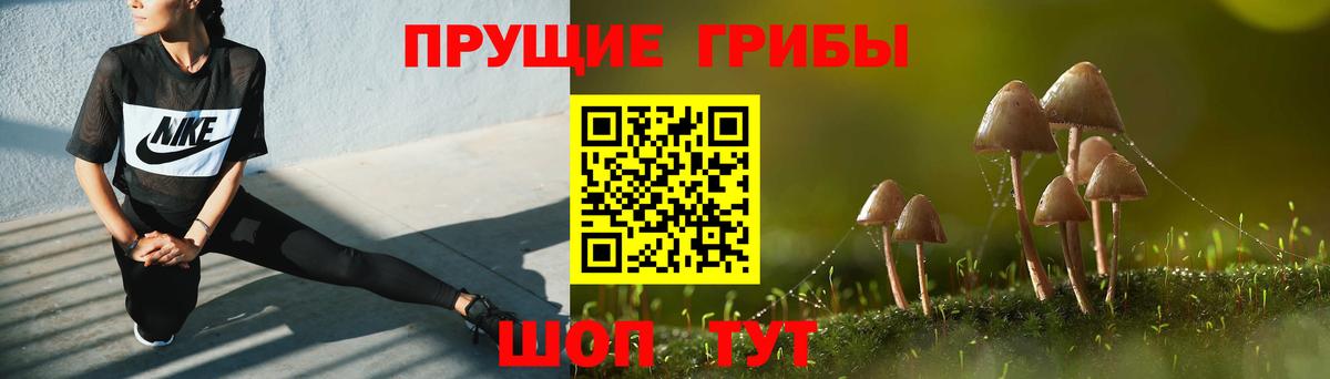 Россошь  Галлюциногенные грибы Psilocybine cubensis  Вход с VPN  Галлюциногенные грибы Cubensis 