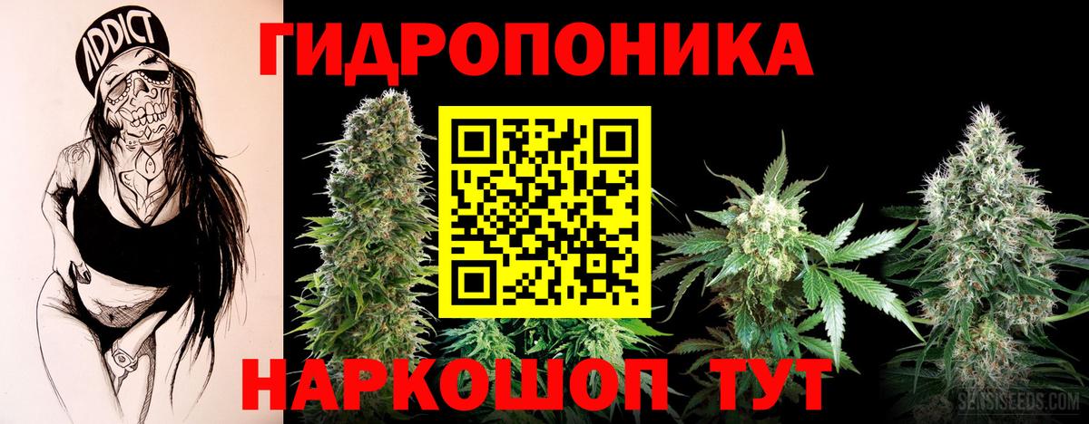 Шишки марихуана марихуана  Каннабис сатива  Вход с VPN  Россошь 